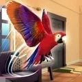鹦鹉模拟器3D宠物世界官方