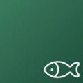 摸鱼单词学习app最新版下载