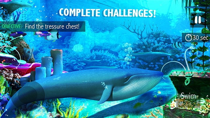 蓝鲸海洋生物模拟3d游戏下载