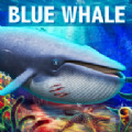 蓝鲸海洋生物模拟3d游戏下载