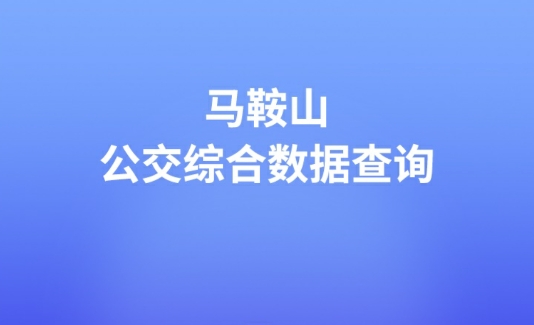 马鞍山公交综合数据查询app安卓版