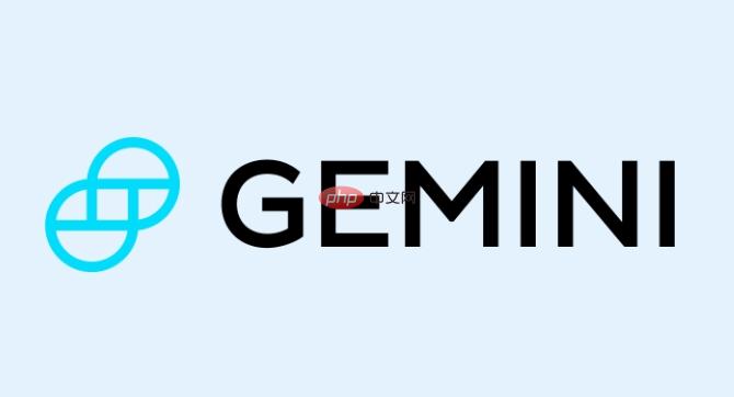 Gemini 安全保障