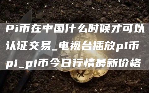 Pi币在中国什么时候才可以认证交易 pi币在哪个国家可以使用
