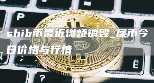 shib币最近燃烧销毁 shib币最新消息暴跌后能涨吗