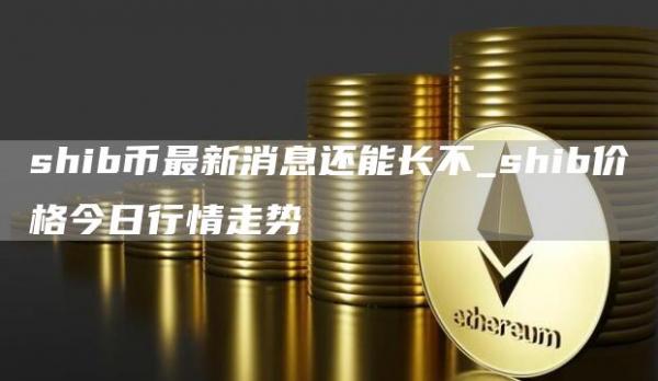 shib币最新消息还能长不 shib币最新消息2025年