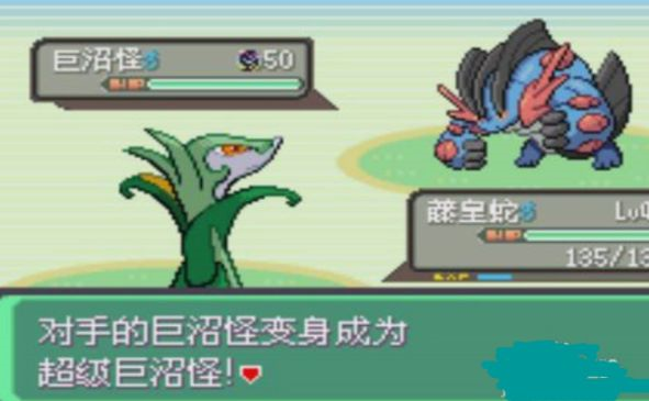 口袋妖怪究极绿宝石513