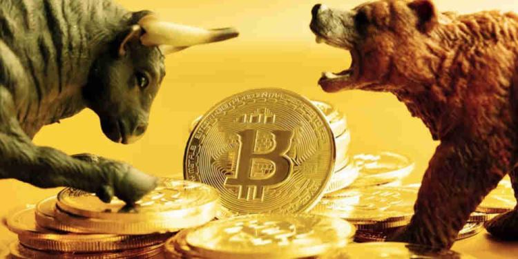 加密货币市场分析