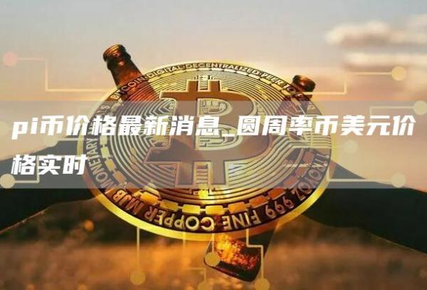 pi币价格今日行情人民币 圆周率币美元价格实时