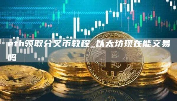 eth领取分叉币教程 以太坊现在能交易吗