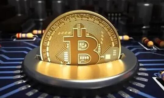 在哪个网站可以每天看比特币数据 比特币10年涨了多少