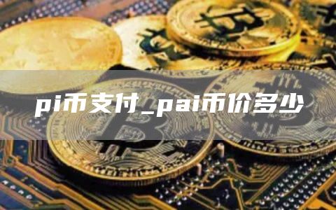 pi币支付 pai币价多少