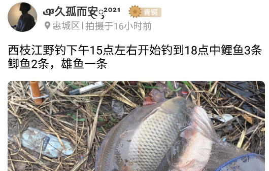 优钓钓点共享平台