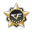 CF百宝箱绿色最新版