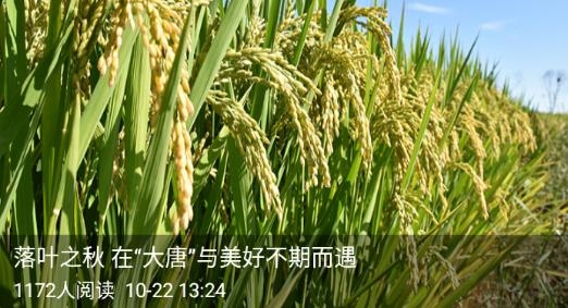 知宝坻新闻客户端