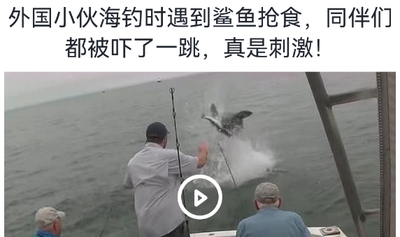 钓鱼宝典app手机版