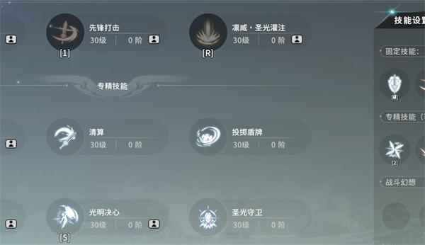 星痕共鸣神盾骑士技能怎么搭配