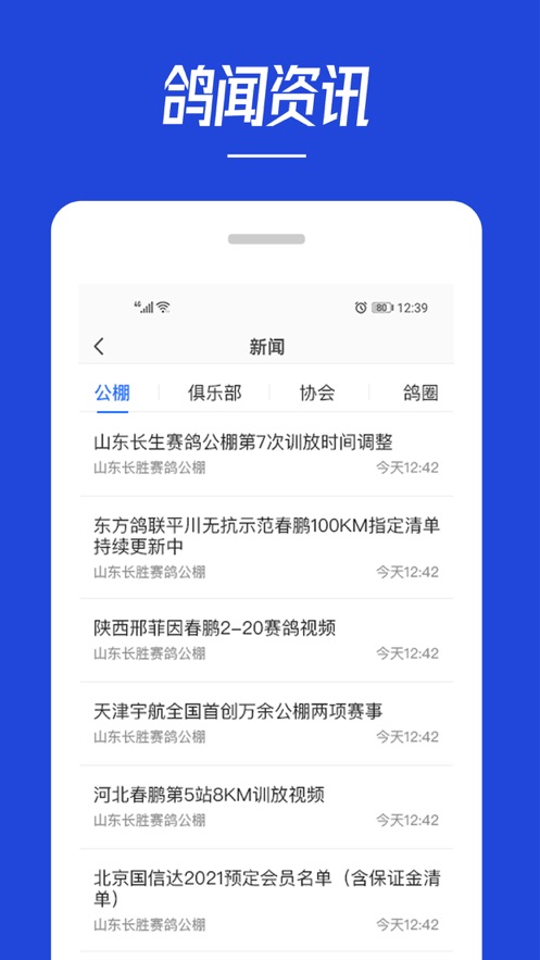 青鸽网app安卓版