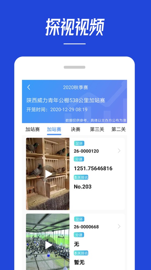 青鸽网app安卓版