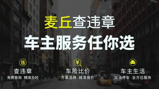麦丘查违章安卓版最新版