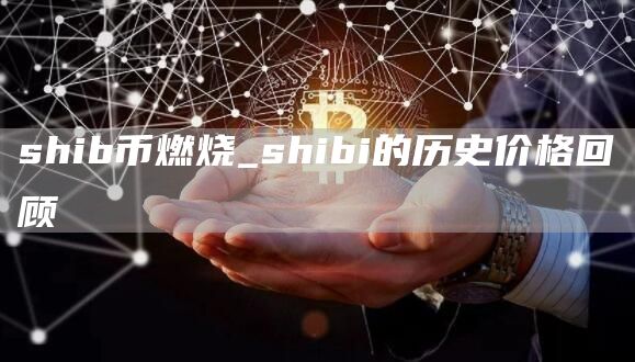 shib币燃烧 shibi的历史价格回顾