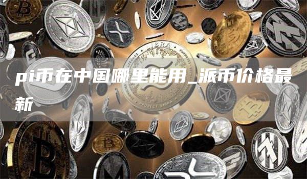 pi币在中国哪里能用 派币价格最新