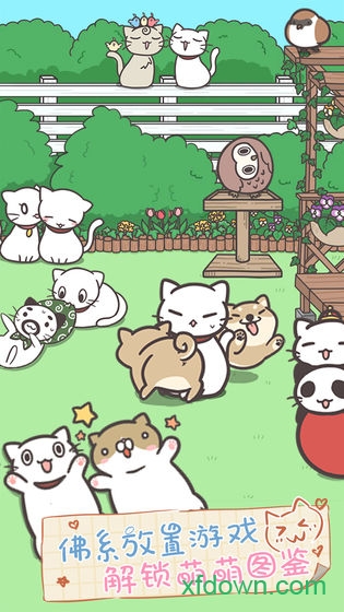 猫咪饲养日常最新版最新下载2025