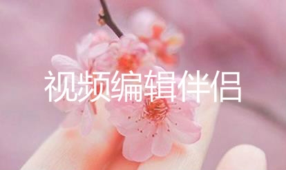 视频编辑伴侣app安卓版
