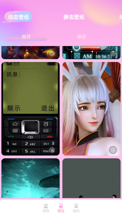 哈屏桌宠app官方版