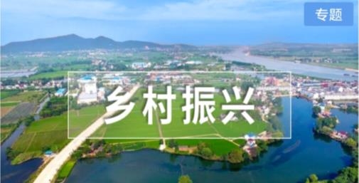 屯溪融媒体中心最新版