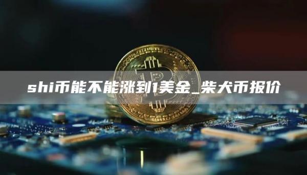 shi币能不能涨到1美金 shi币有投资价值吗