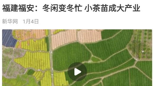 人民三农app官方版