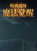 哈利波特魔法觉醒中文版