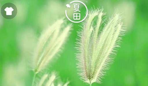 夏田e学app最新版