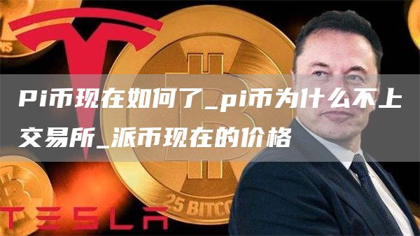 pi币现在价格多少钱一克 派币现在的价格