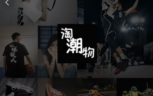 淘潮物app手机版