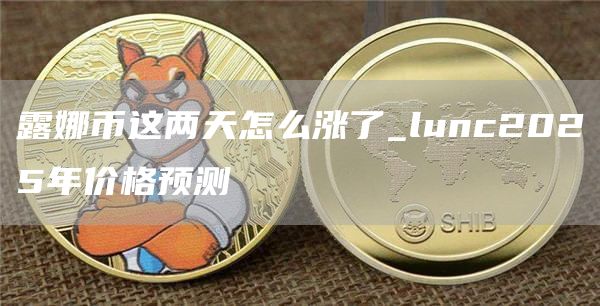 露娜币这两天怎么涨了 luna币2025年能涨到多少钱