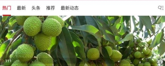 中国果树app官方版