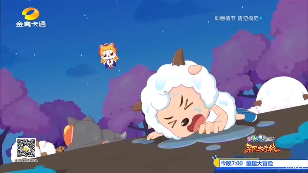 小荷电视播放器安卓版