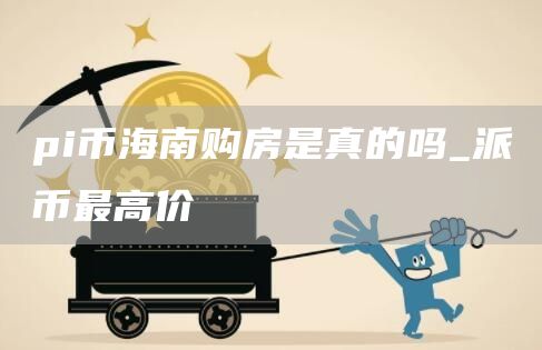 pi币海南购房最新消息 派币最高价