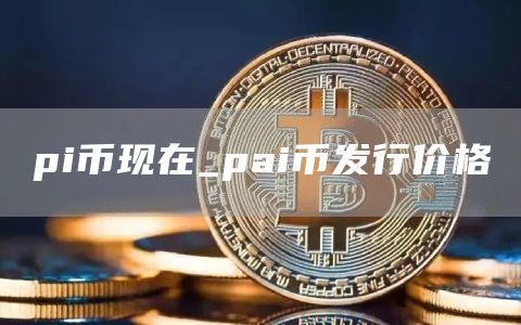 pi币现在多少钱一个 pai币发行价格