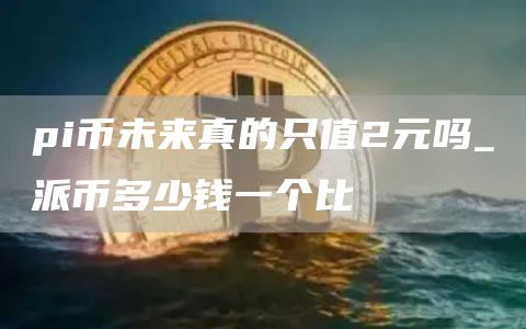 pi币未来真的只值2元吗 pi币未来前景如何