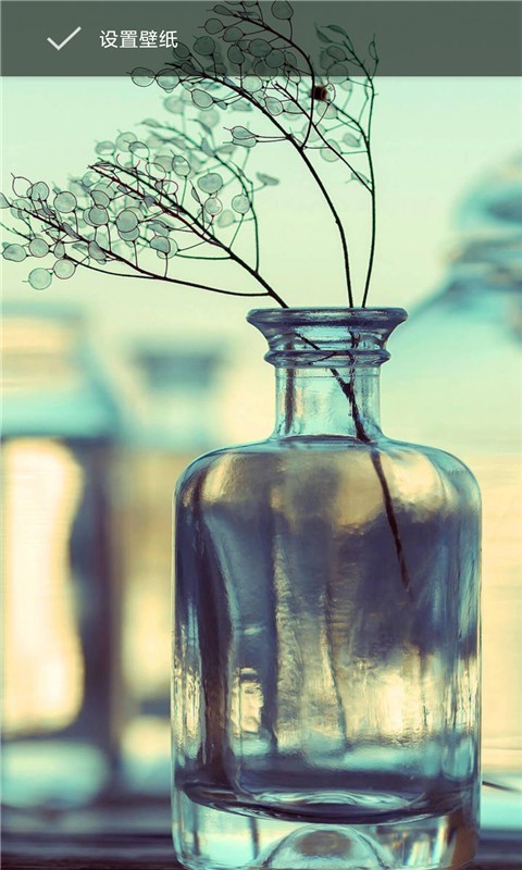 萤火视频壁纸2025最新下载