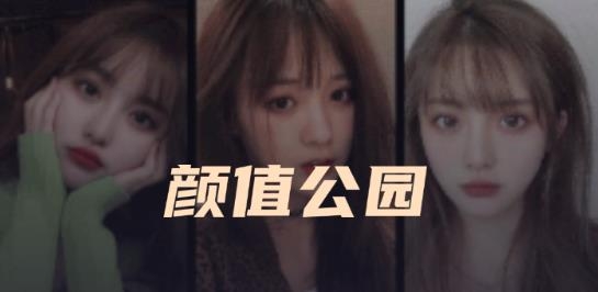颜值公园app安卓版