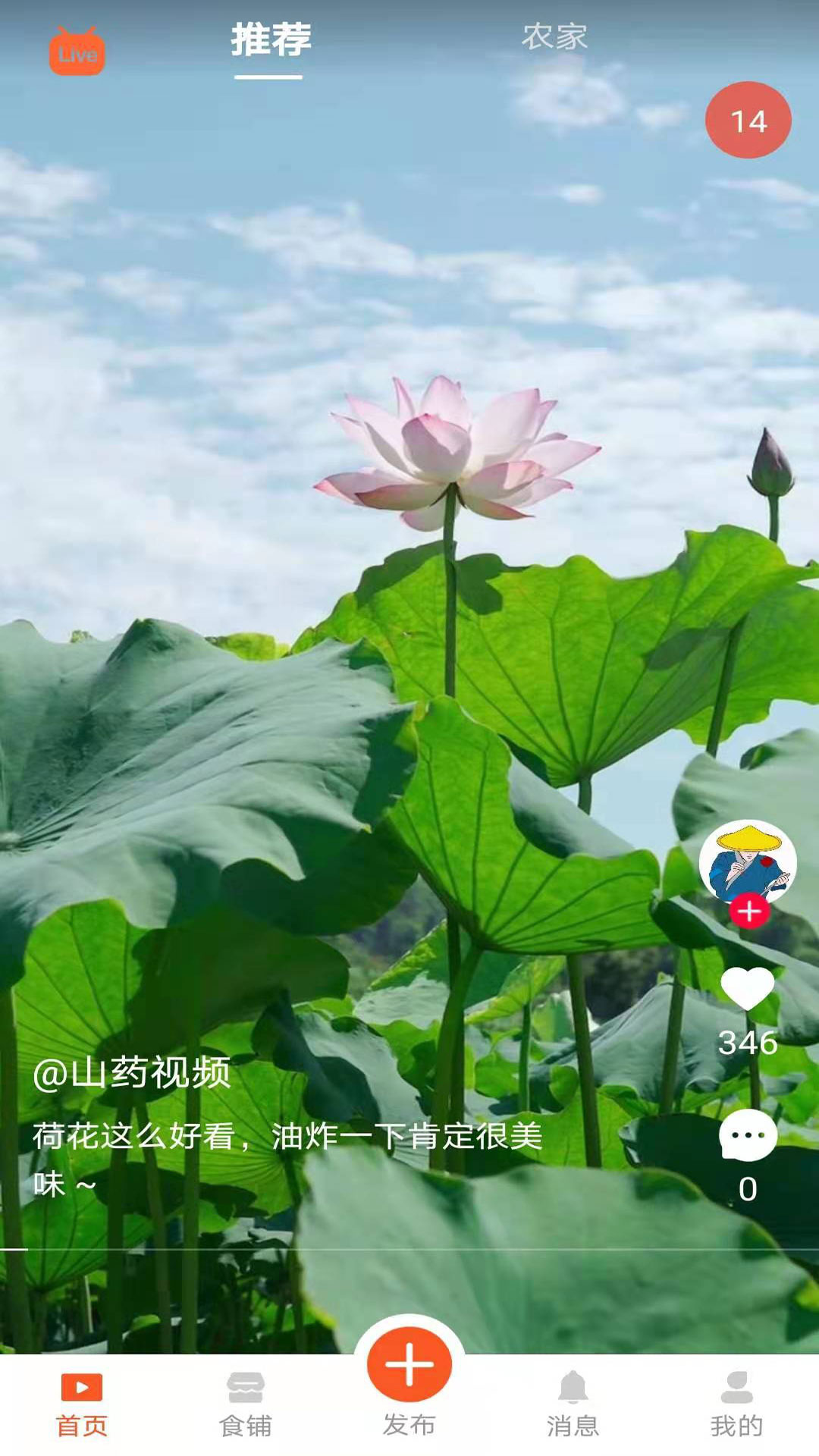 食客江湖最新版