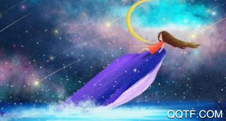 准准星座app安卓版