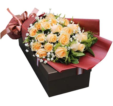 花市鲜花网安卓版下载安装