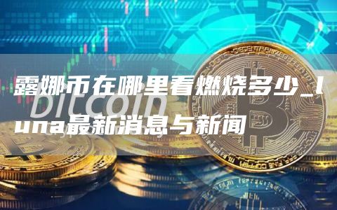 露娜币在哪里看燃烧多少 luna最新消息与新闻