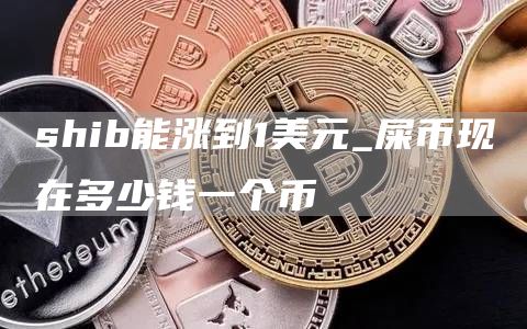 shib能涨到1美元 屎币现在多少钱一个币