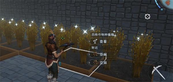 荒原曙光亚麻在哪里 荒原曙光亚麻在哪里