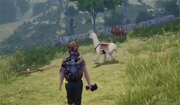 荒原曙光羊驼在哪里 荒原曙光羊驼在哪里